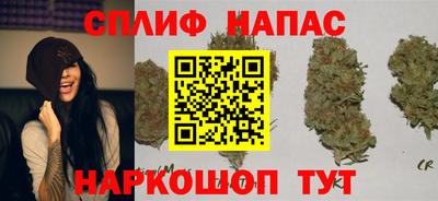 ПСИЛОЦИБИНОВЫЕ ГРИБЫ Гай