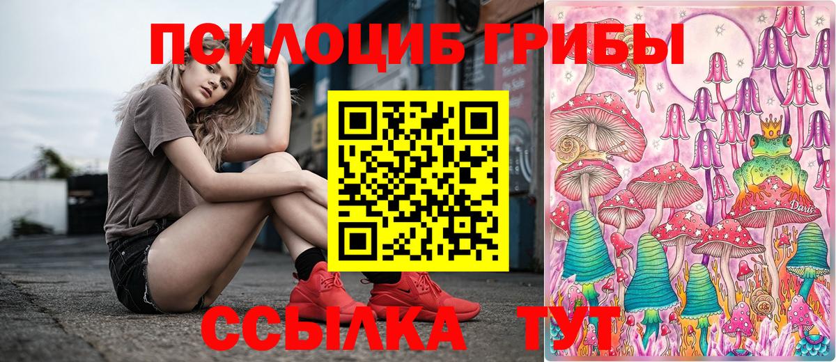 Галлюциногенные грибы мицелий  закладка  Истра  Галлюциногенные грибы MAGIC MUSHROOMS  Вход с VPN 