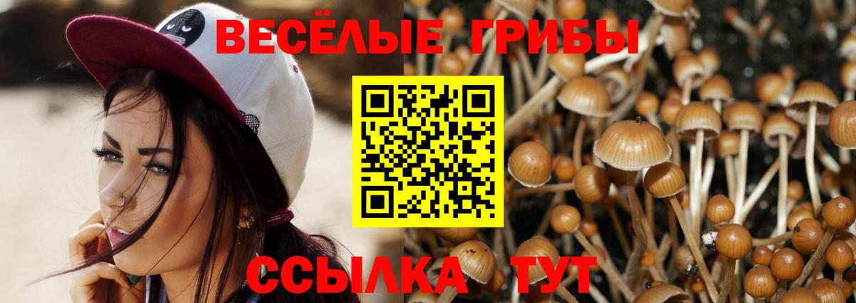 Псилоцибиновые грибы прущие грибы Истра