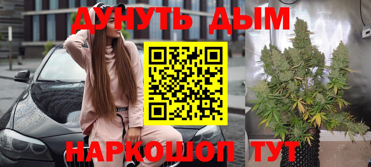 Конопля Bruce Banner  Конопля марихуана  Вход с VPN  Истра  Бошки марихуана индика  Канабис планчик 